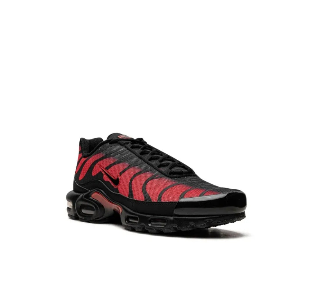 Nike Air Max Plus Bred Reflective