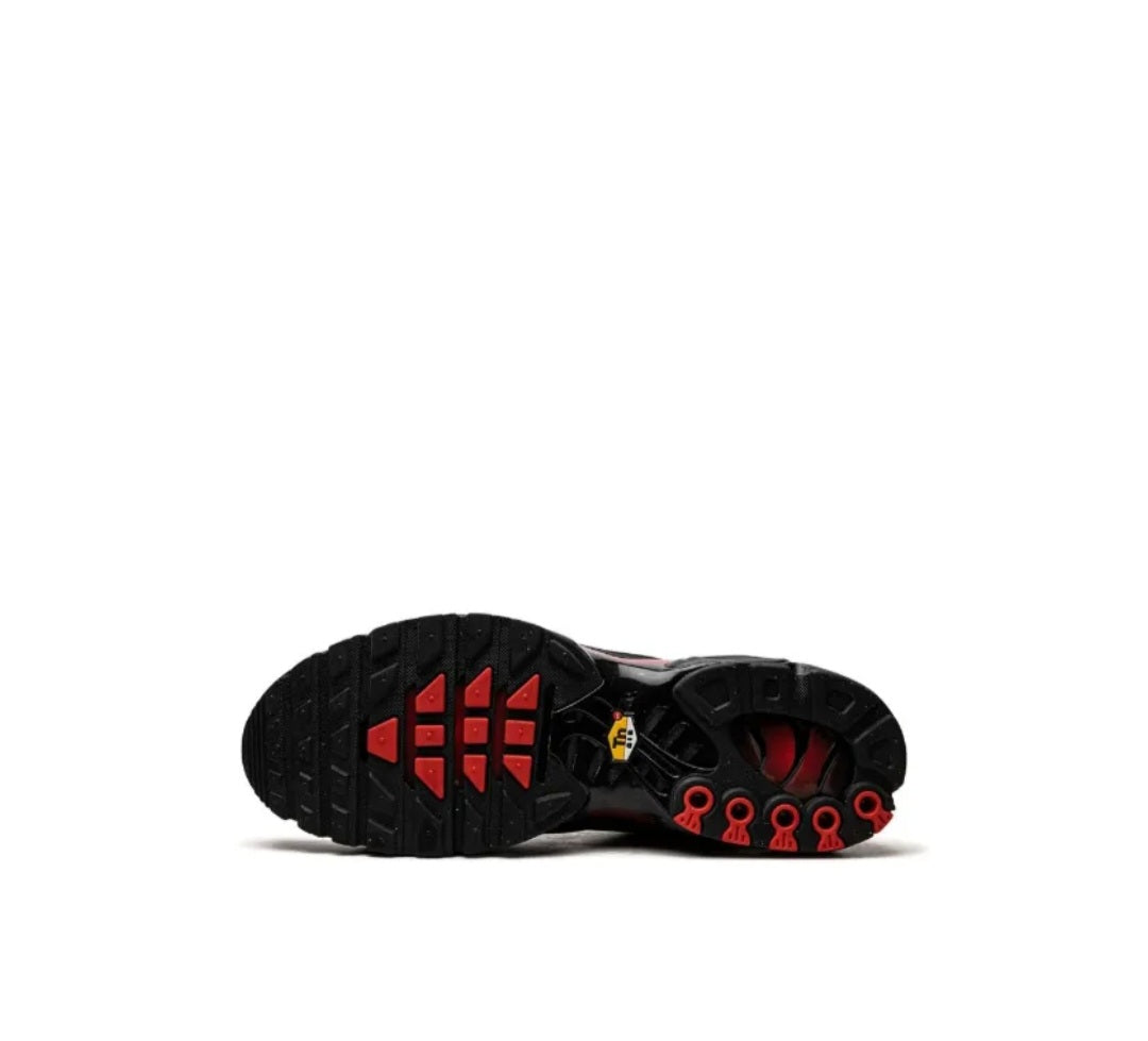 Nike Air Max Plus Bred Reflective