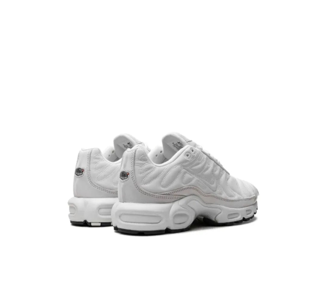 Nike Air Max Plus white